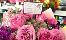Herzlich Willkommen