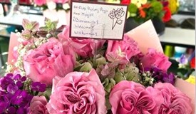 Herzlich Willkommen